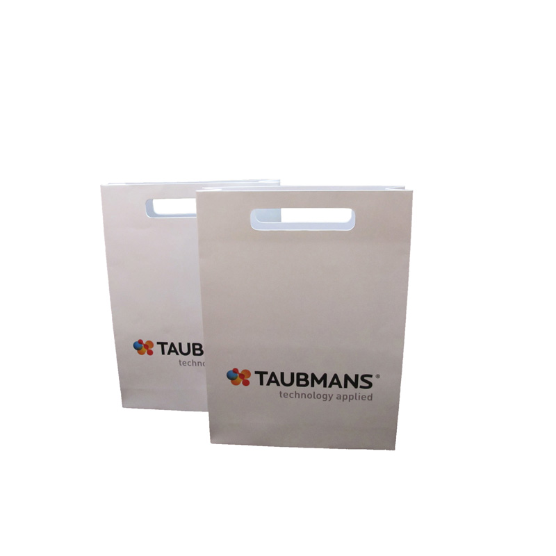 Custom Printed Paper Shopping Bag With Handle Packaging