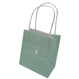Custom logo printing paper bag with twist handle