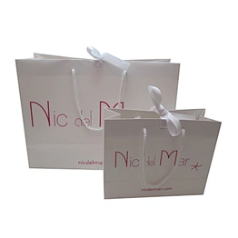 Paper gift bags with ribbon handles