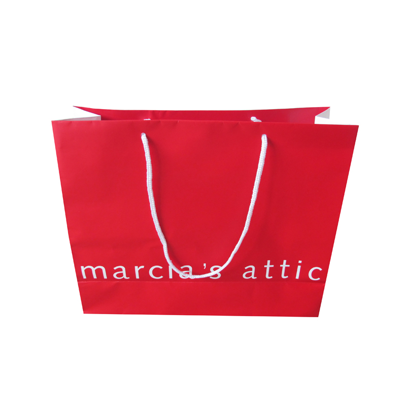 Custom printed recycled eco-friendly paper bag for clothes