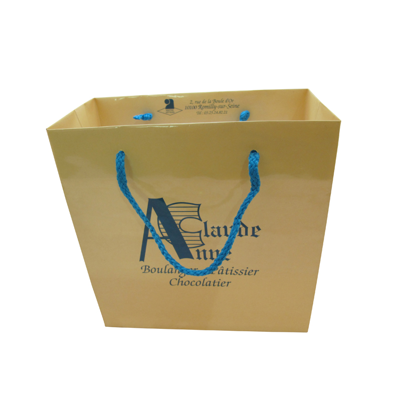 Made in China logo printed bulk paper bag for clothes
