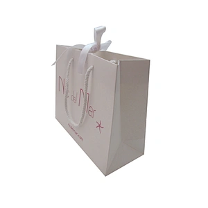 Paper gift bags with ribbon handles