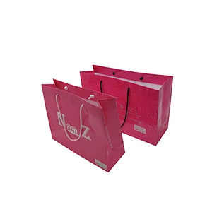 Custom Pink Color Printed Retail Bags with Logo