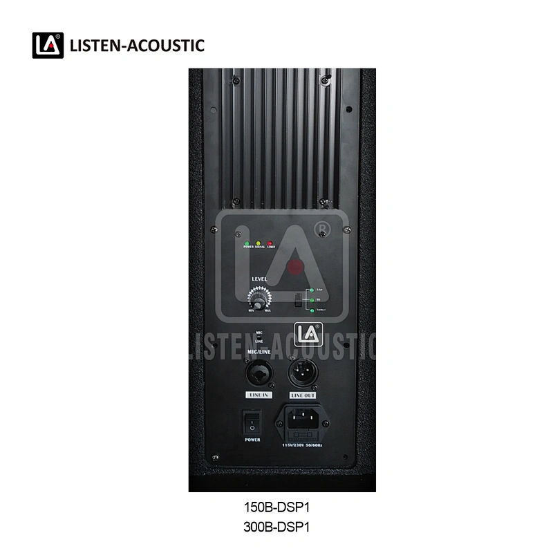 Integrated Amp Kit  Class D Amplifier with Optional RMS130-300W