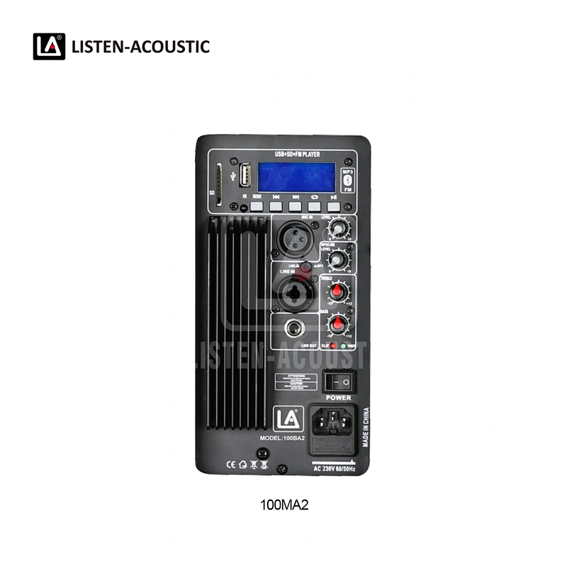 Integrated Amp Kit RMS 100W Class AB Mono Amplifier 100MA2 Amp