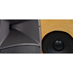 LOUDSPEAKERS: WOOD OR PLASTIC CABINET?