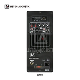 Integrated Amp Kit RMS 80W Class AB Mono Amplifier 80MA1 Amp