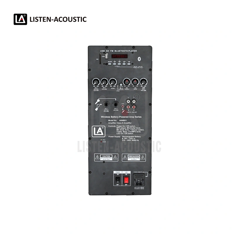 RMS 65W Class-D Amplifier 65WBD1