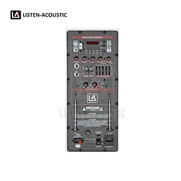 RMS 65W Class-D Amplifier 65WBD2