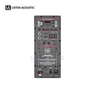 RMS 65W Class-D Amplifier 65WBD2