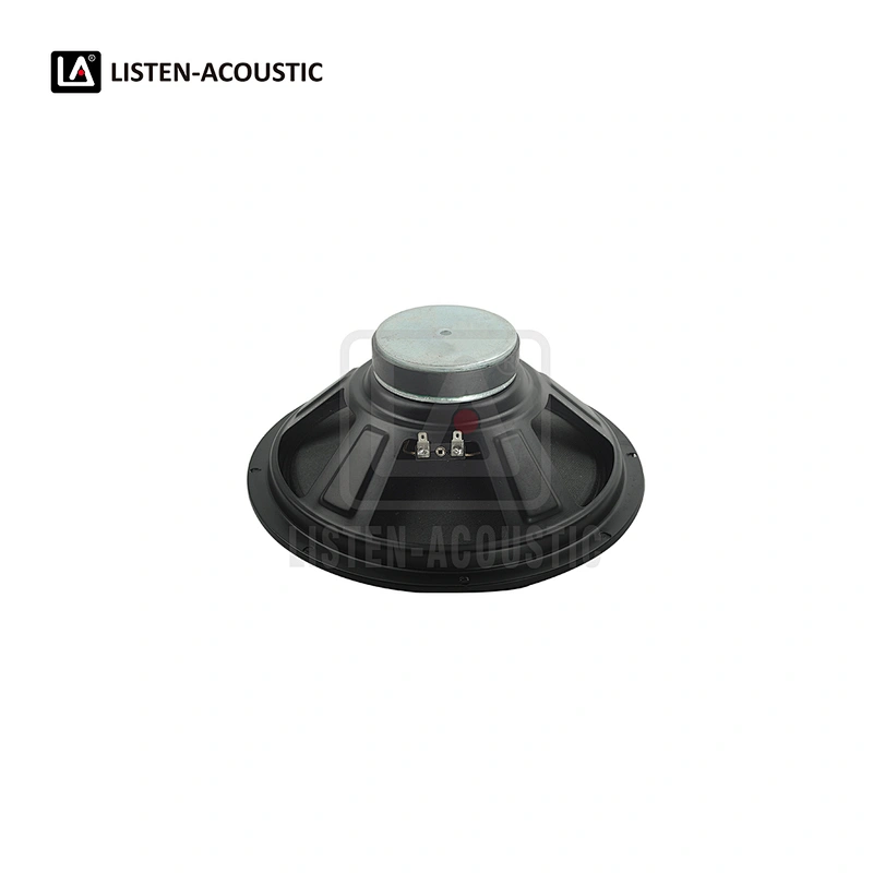 10 Inch Full Range Woofer with RMS 100 Watts