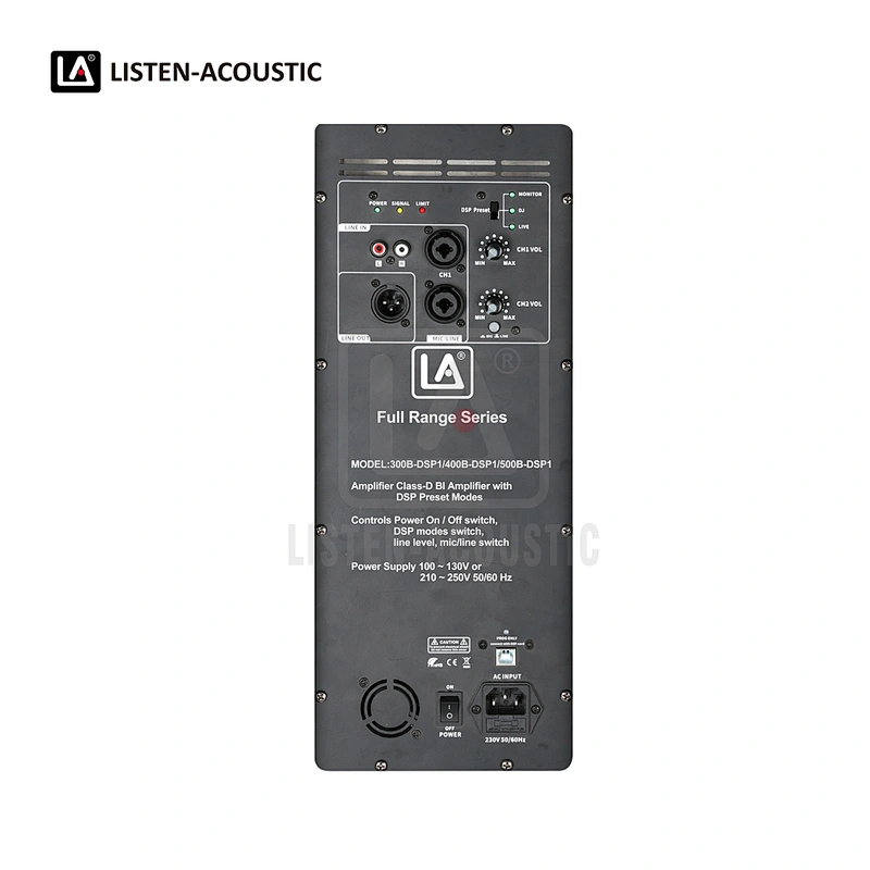 Integrated Amp Kit  Class D Amplifier with Optional RMS300-500W