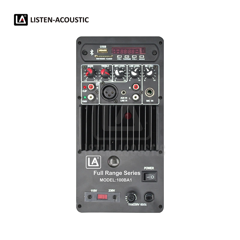 Integrated Amp Kit RMS 100W Class AB Mono Amplifier 100MA1 Amp