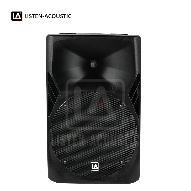 PAZ-12D1 2-Way Full Range Speaker