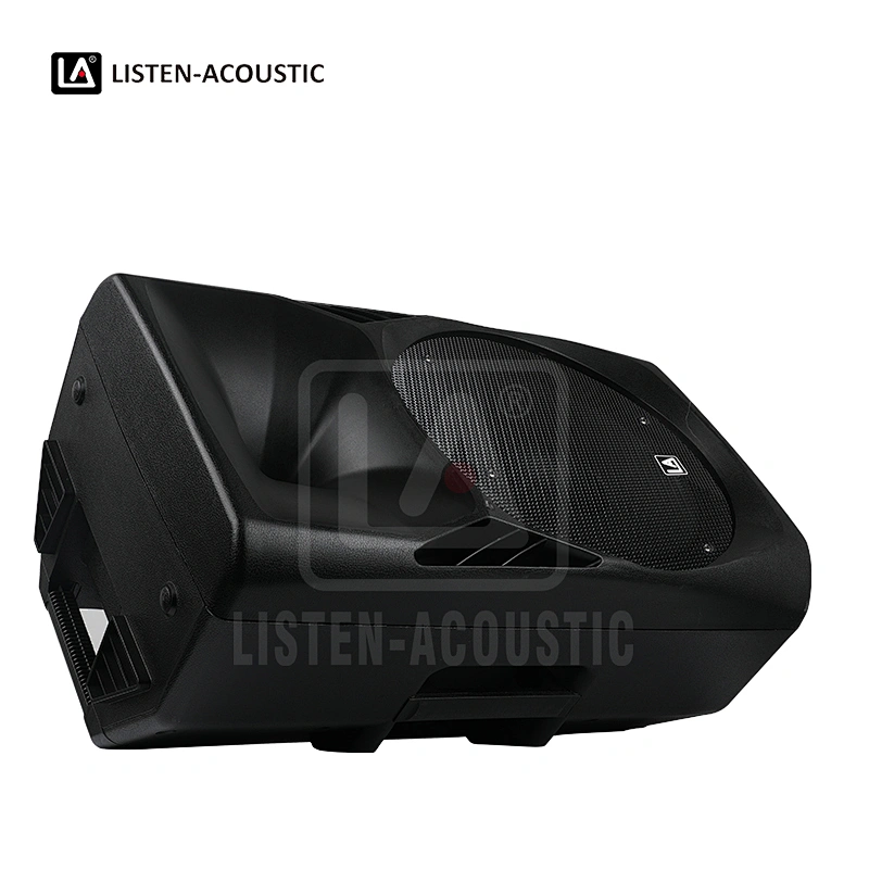PAZ-15D1  2-Way Full Range Speaker