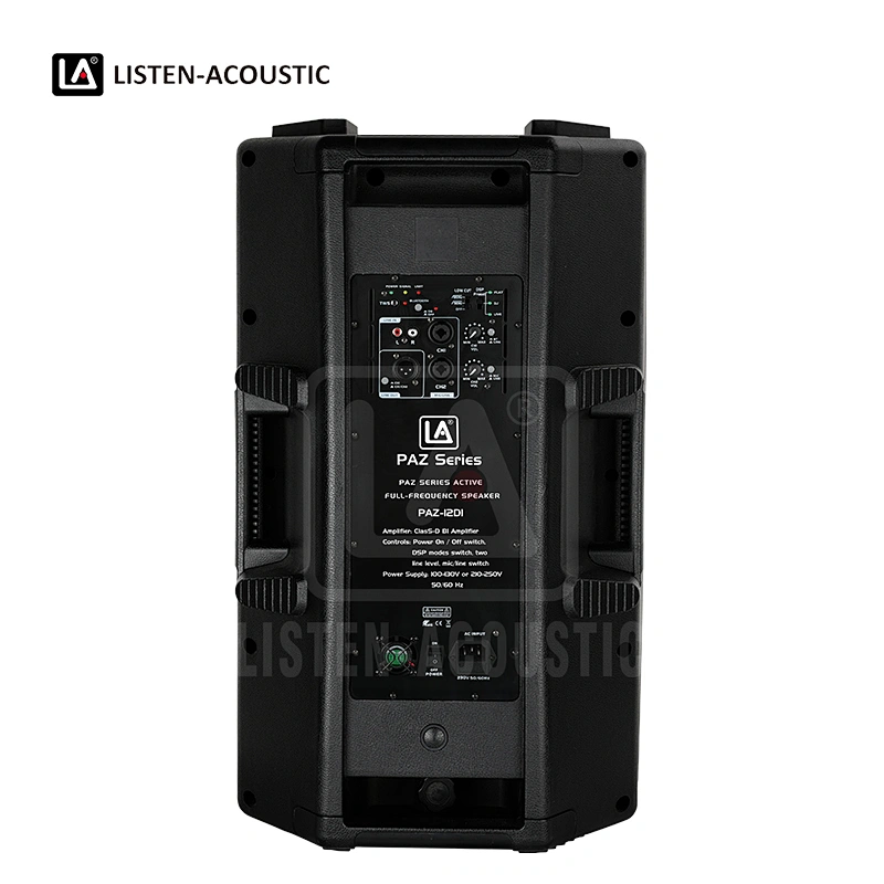 PAZ-12D1 2-Way Full Range Speaker
