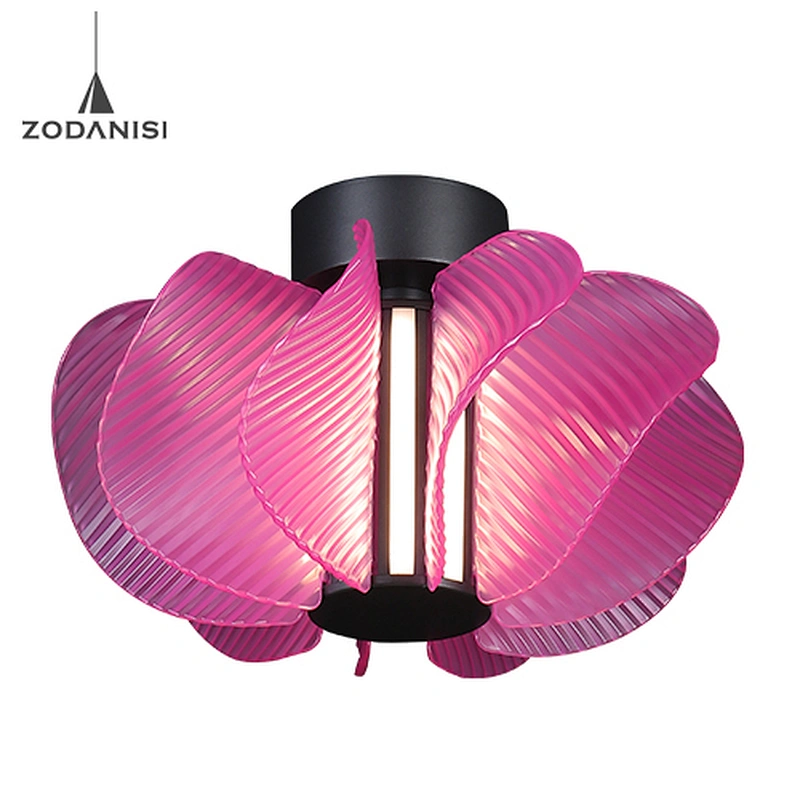 LED ceiling lamp