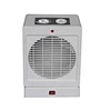 electric fan heater