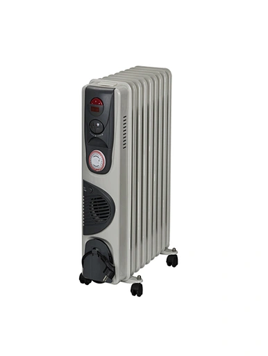 electric home appliance