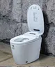 toilet intelligent