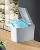 toilet bidet