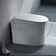 sanitary bidet toilet bidet