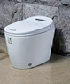 toilet intelligent