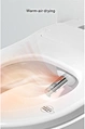 intelligent toilet