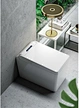 intelligent ceramic toilet