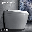 One-piece dual-flush intelligent toilet E-Z112