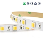 5050 2合1 调光LED灯带