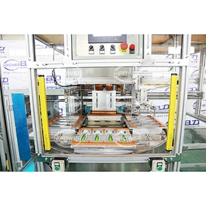 Automatic Card Feeding and Blister Sealing Machine