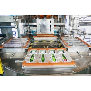 Automatic Card Feeding and Blister Sealing Machine