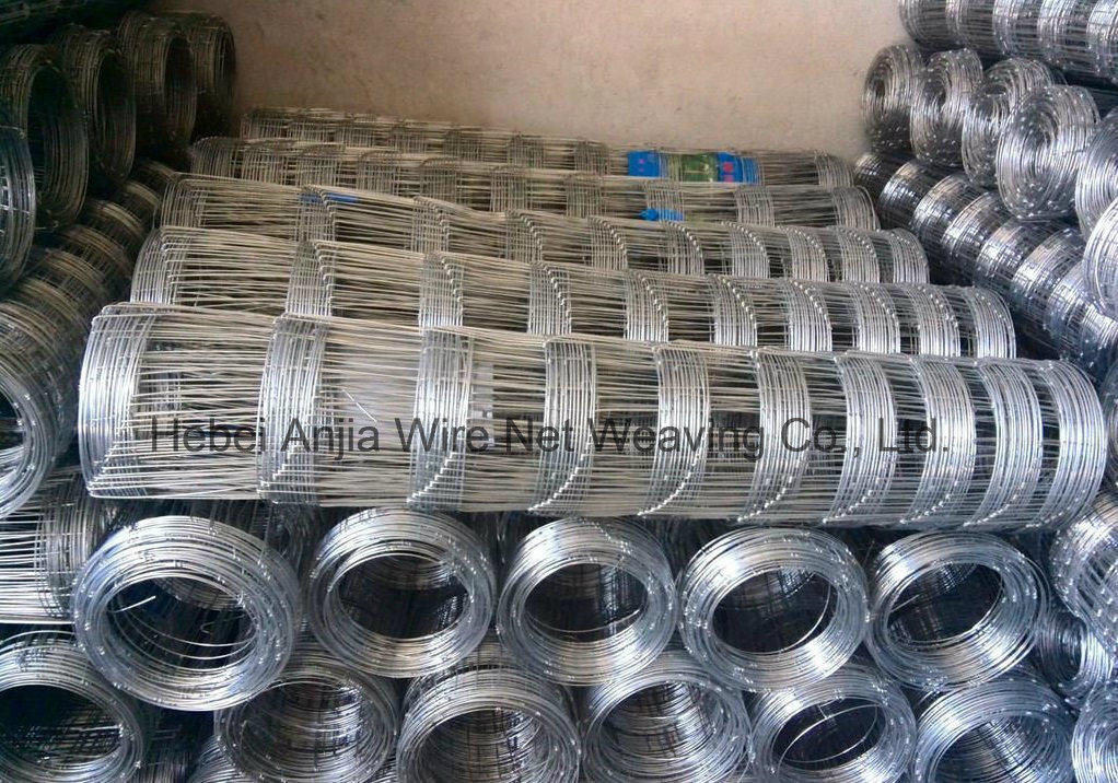 HOT DIPPED GALVANIZED KNOTTED WIRE MESH FENCE