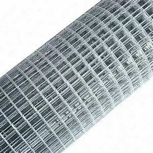 HOT-DIPPED GALVANIZED WELDED WIRE MESH