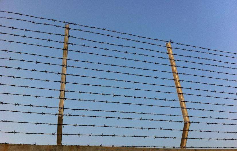 HOT DIPPED GALVANIZED BARBED WIRE