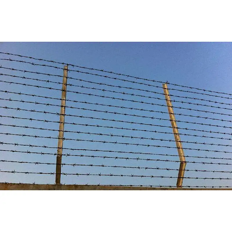 HOT DIPPED GALVANIZED BARBED WIRE