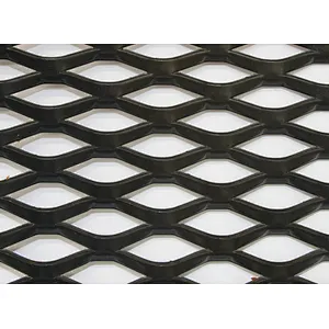 Black expanded mesh