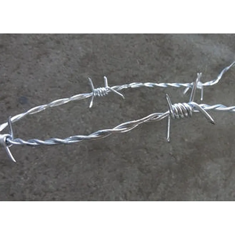 HOT DIPPED GALVANIZED BARBED WIRE