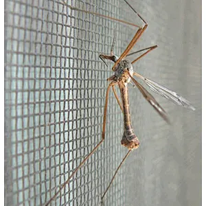 ALuminium window screen net (ss finish)