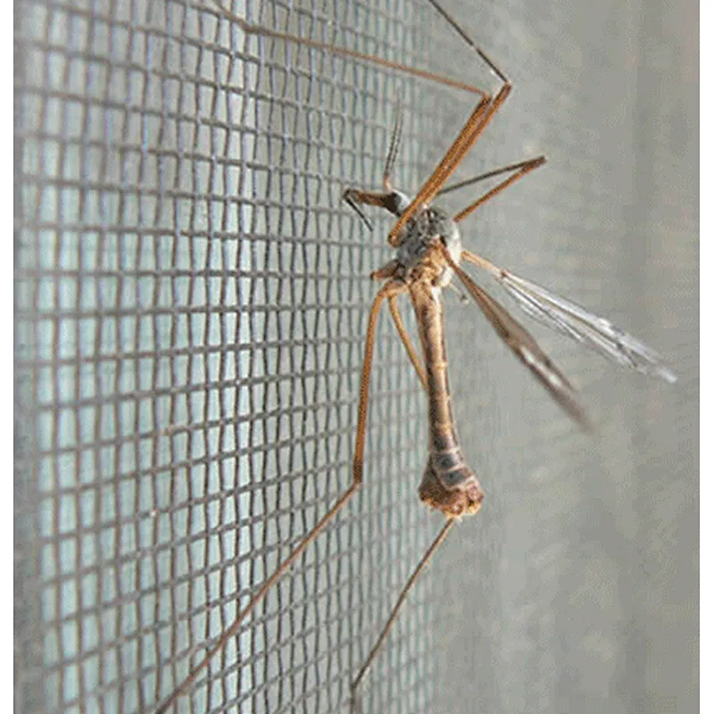 ALuminium window screen net (ss finish)
