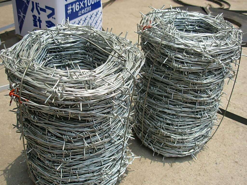 HOT DIPPED GALVANIZED BARBED WIRE