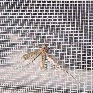 Galvanized window screen mesh