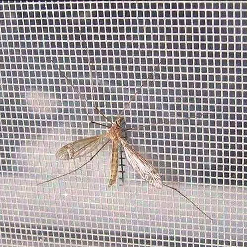 Galvanized window screen mesh