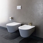 Wall-hung bidet