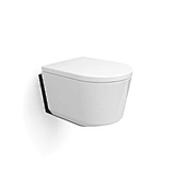 Wall-hung Toilet