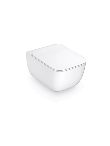 toilet toilet