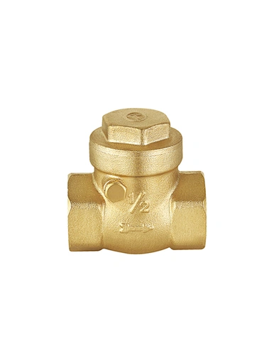 Swing check valve