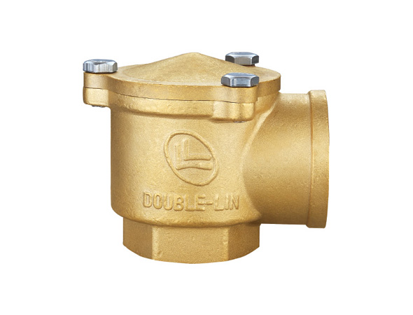Check valve