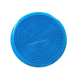 XC1002 Massage Cushion